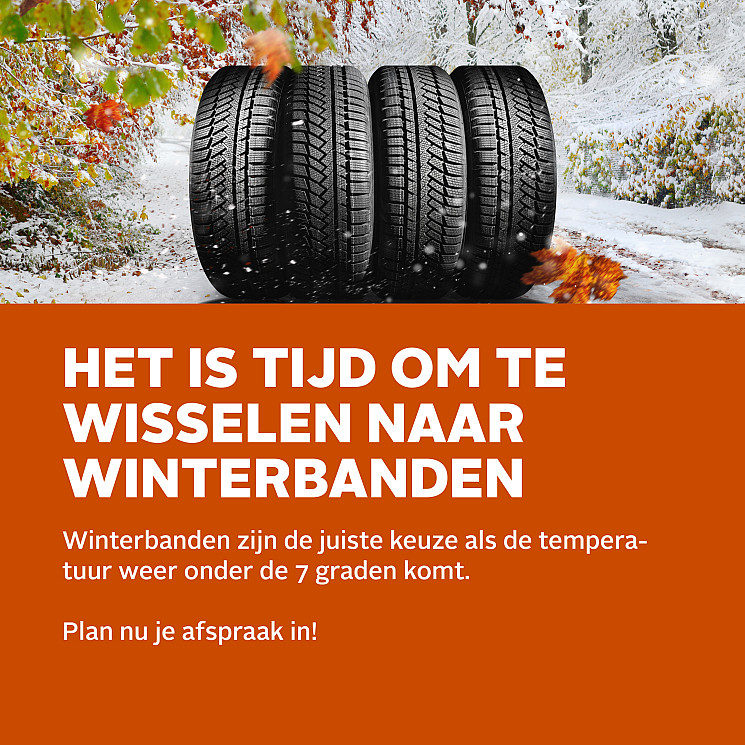 Carteam Autobedrijf Timmerman